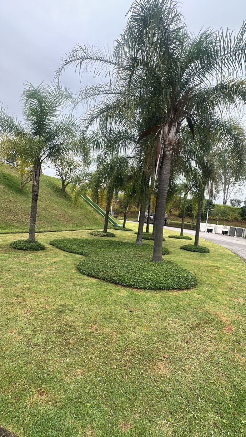 Áreas verdes com padrão de apresentação